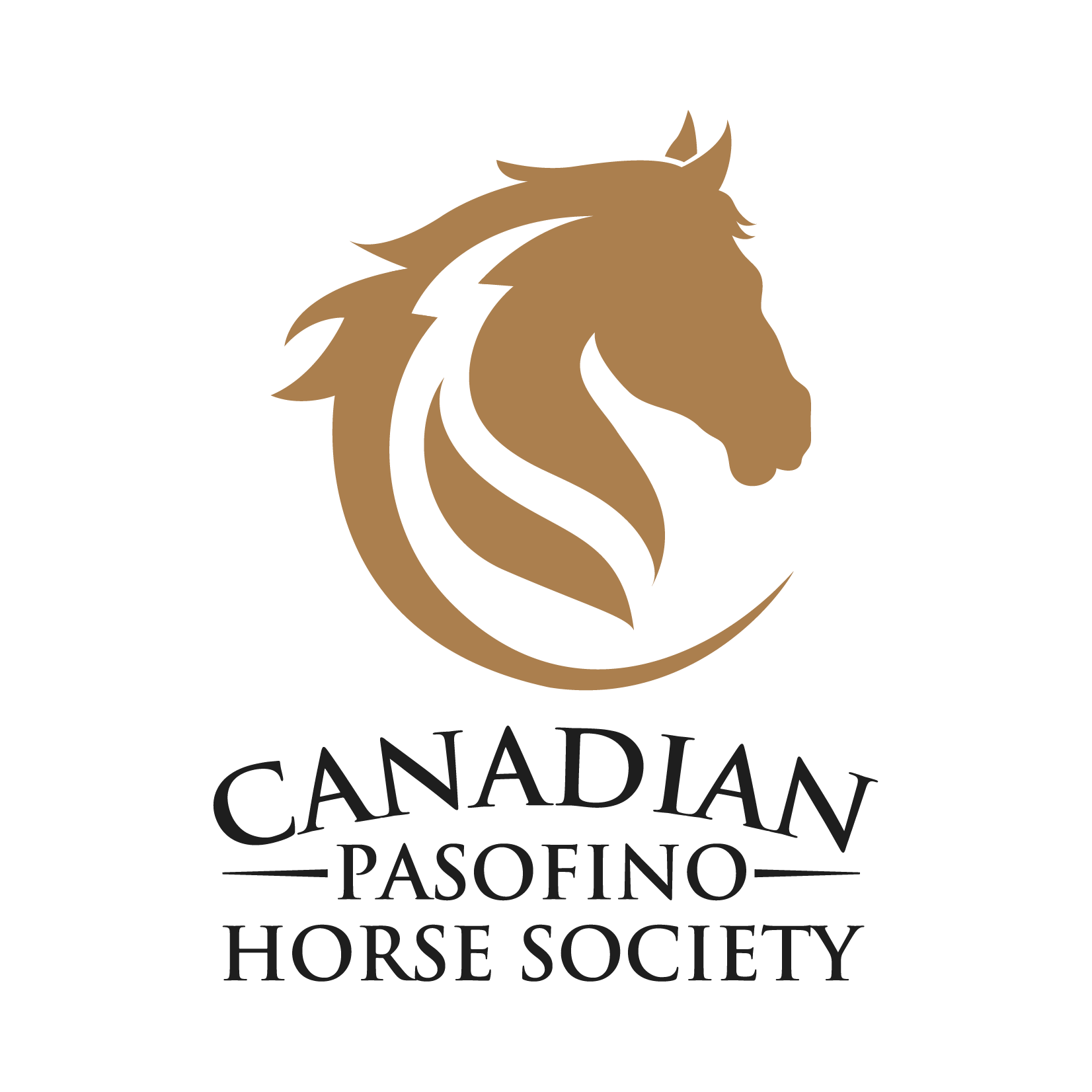 Canadian Paso Fino Horse Society